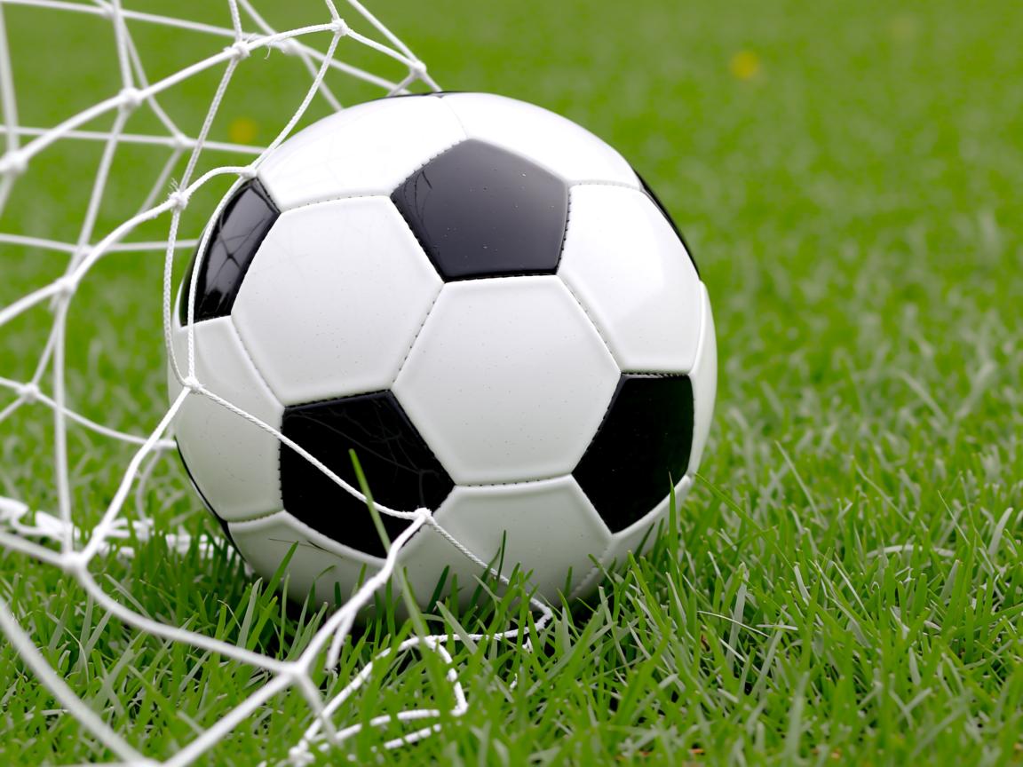 华体会网页登陆-埃及赛制解析：多元化赛事形式如何促进本土发展，埃及杯ds  第2张